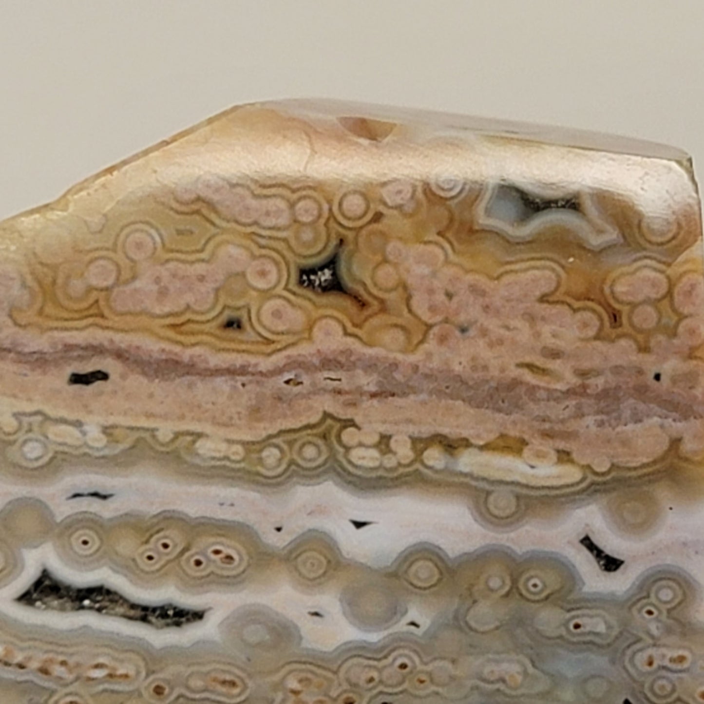 8th Vein Ocean Jasper