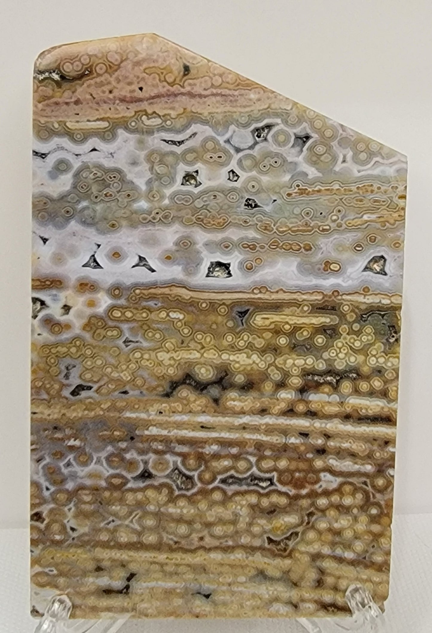 8th Vein Ocean Jasper