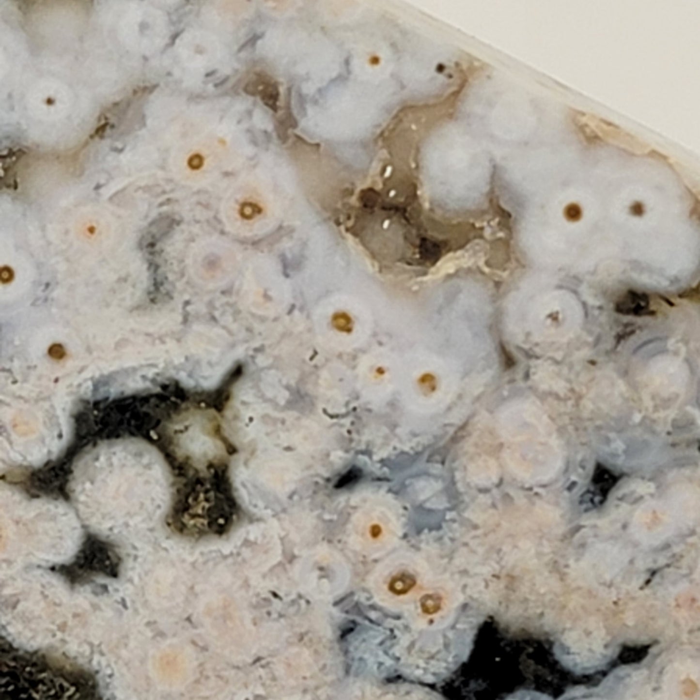 8th Vein Ocean Jasper